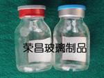 (模制瓶)